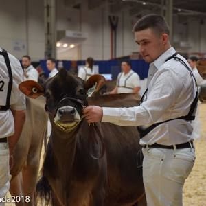 Meet your Posher, Eddie